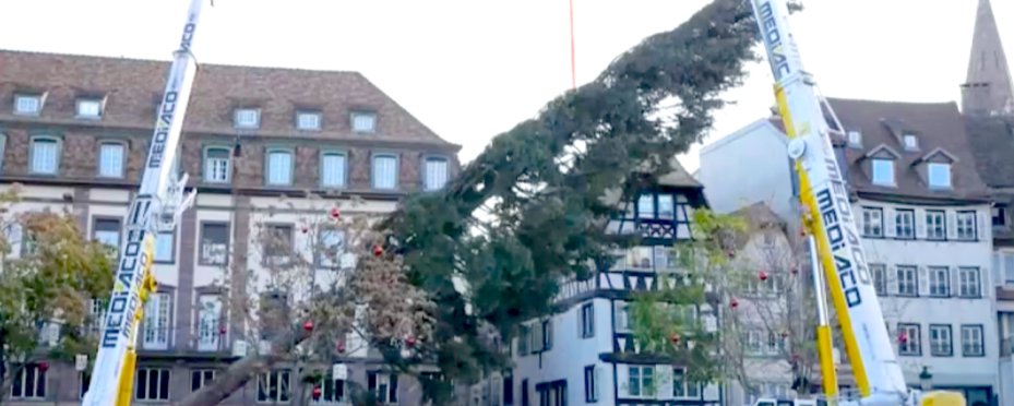 À Strasbourg, le sapin de Noël est-il devenu un symbole à abattre ?