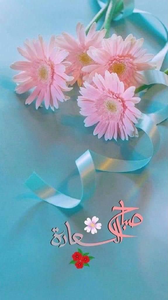 a_Mary77769's tweet photo. @Ali29920359 https://t.co/pJRTeO4KAY