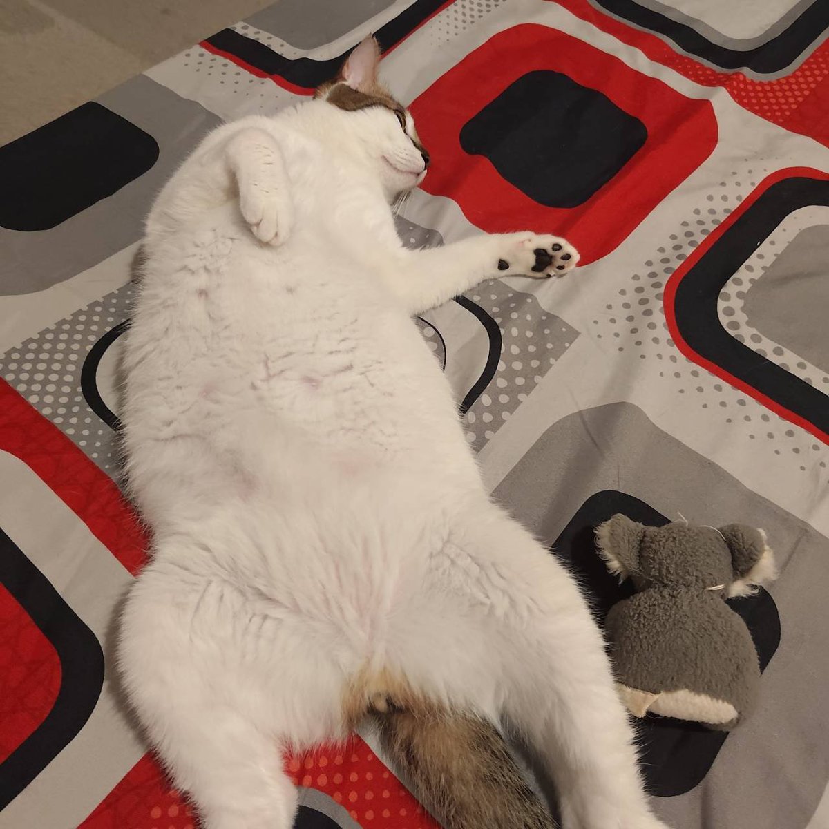 powderdisini's tweet photo. Breaking news sebuah truk tanpa muatan terguling diduga karena mengantuk 😪🤭 https://t.co/Tm7nUf6J0t
