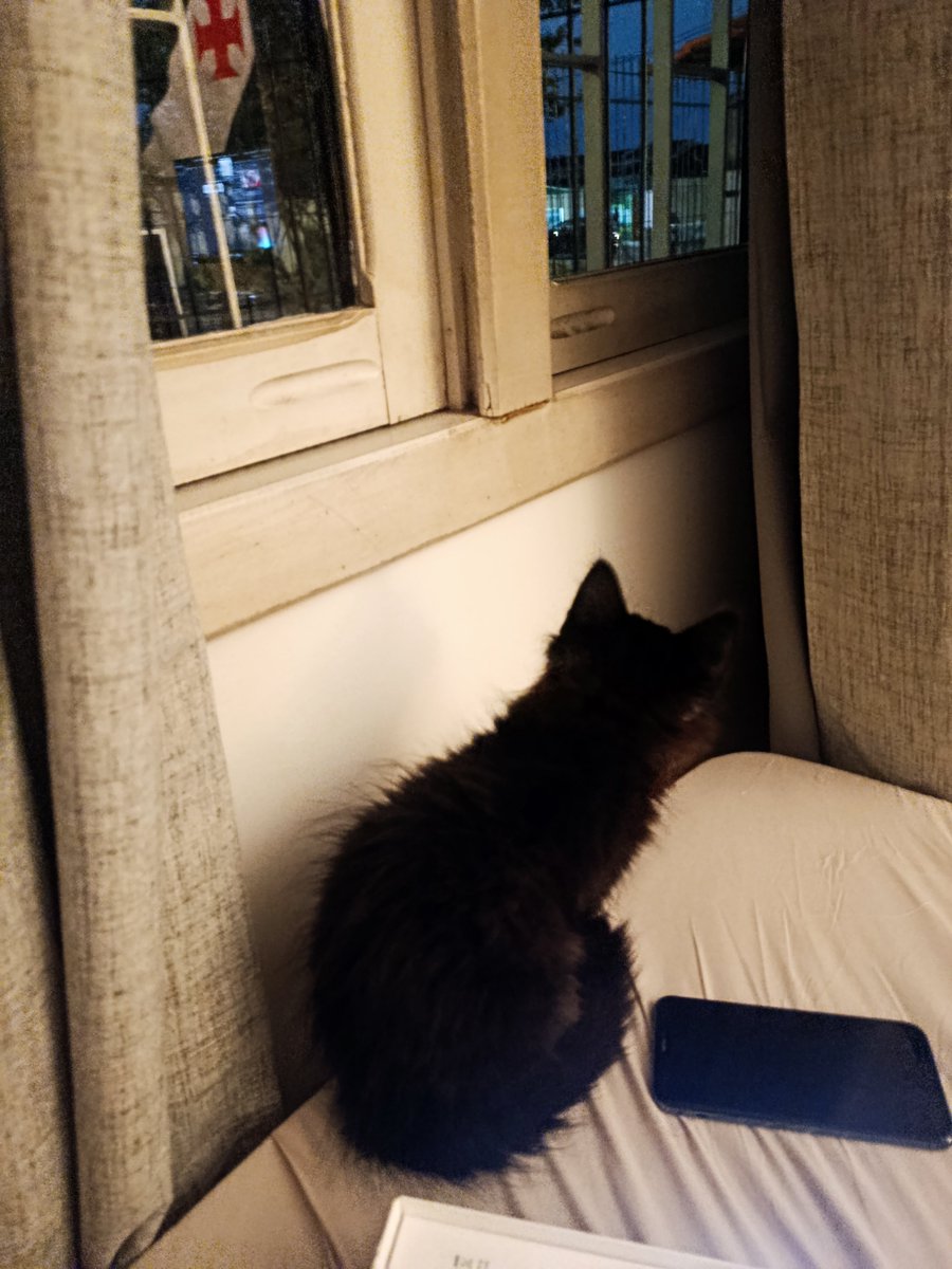 AndOOO0M's tweet photo. O mundo lá fora é horrível filha, vc tem que ficar aqui. https://t.co/NFvwljwfN0