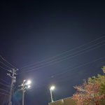 Photo by 野村英之＠SDG株式会社 (@michael072)