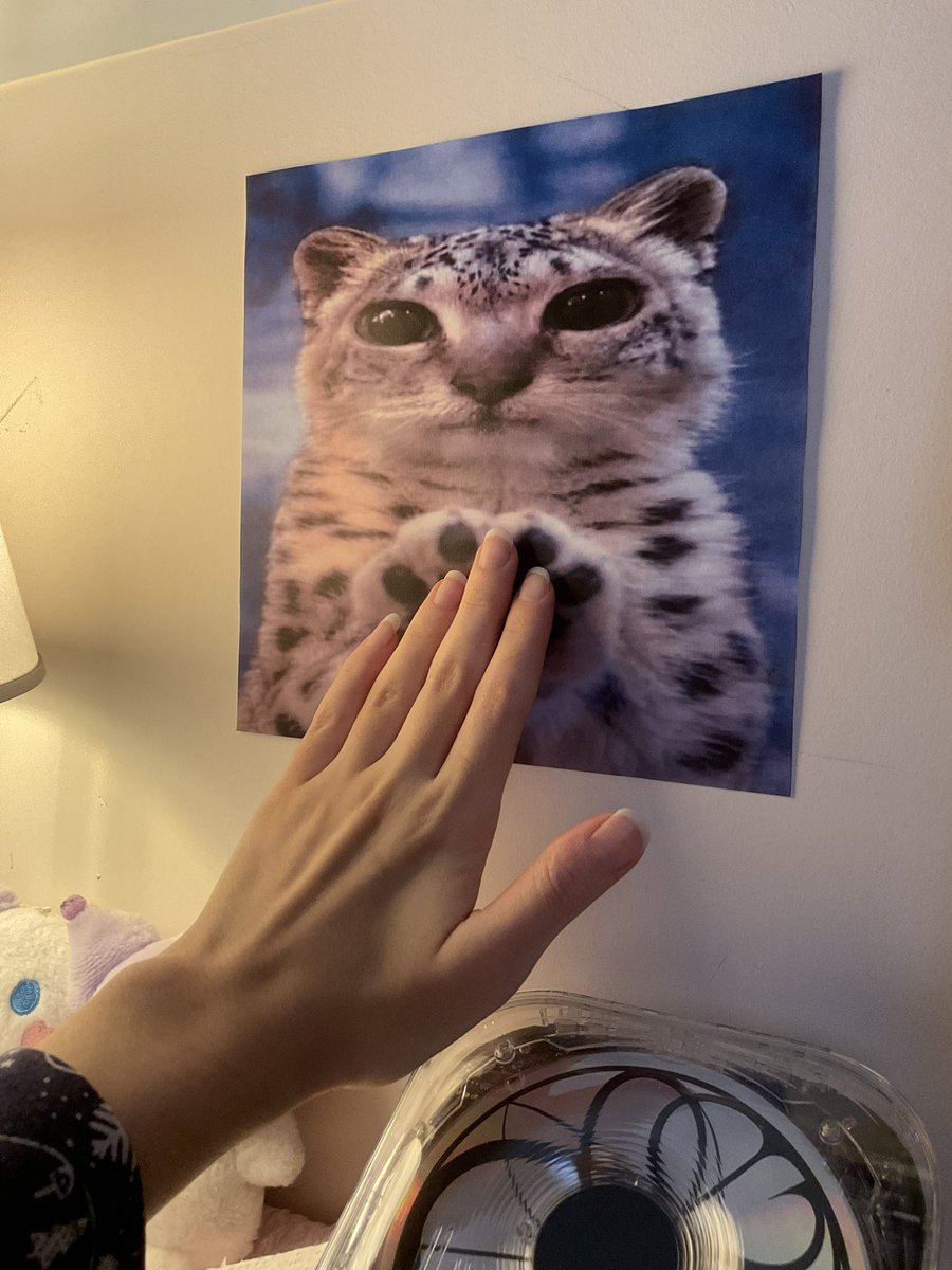 smookesprite's tweet photo. Paws at you https://t.co/rESeESGp0a
