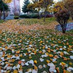 Photo by a. yağmur tunalı (@yamurtunal)
