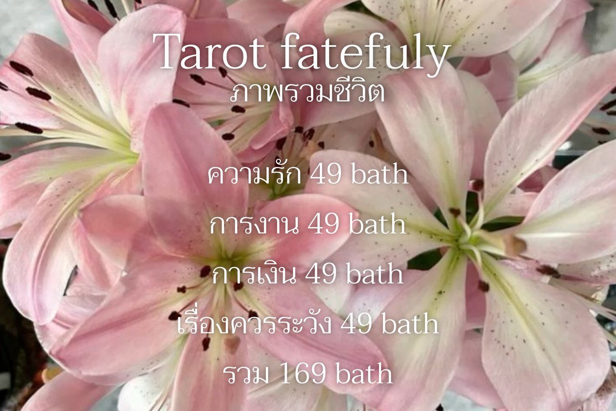 tarotfatefulofc's tweet photo. Horoscope tarot ִֶָ. ࣪ ִֶָ🪽་༘࿐
ดูดวง dm #fatefultarot 
คิว่าง พร้อมตอบ พร้อมเปิดไพ่ 🪷

[#ดูดวงความรัก #ดูดวง #ดูดวงไพ่ทาโรต์ #ดูดวงการเรียน ] https://t.co/pDHNYydlEr