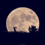 Photo by EarthSky (@earthskyscience)