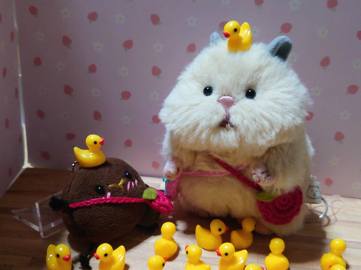 usagi_kaiunP's tweet photo. 🟤そいちゃん！あひるさんたちが
あそぴにきたよ！

🐹いっぱい。。。!!

🟤わっ♪みんなかわいいね！

🐹か…かこまぇたっ！！！！

＃うさぎのうんピ●の妖精
＃はむにぎり https://t.co/GnuoUlL1Lj