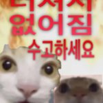 Photo by 초코머핀맨(12월 12~13일 서코) (@chococupecakema)