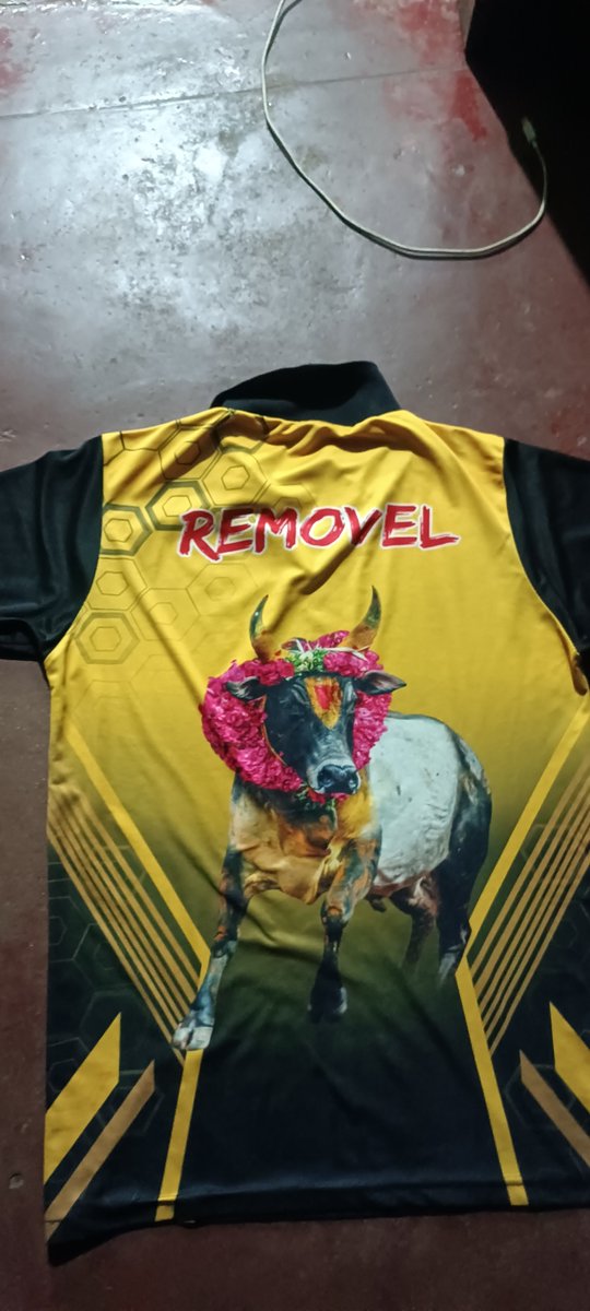 Remo4dmi's tweet photo. My Tee shirt Festival   my village 

Nick name.   REMO VEL https://t.co/BA7fJ978Wj