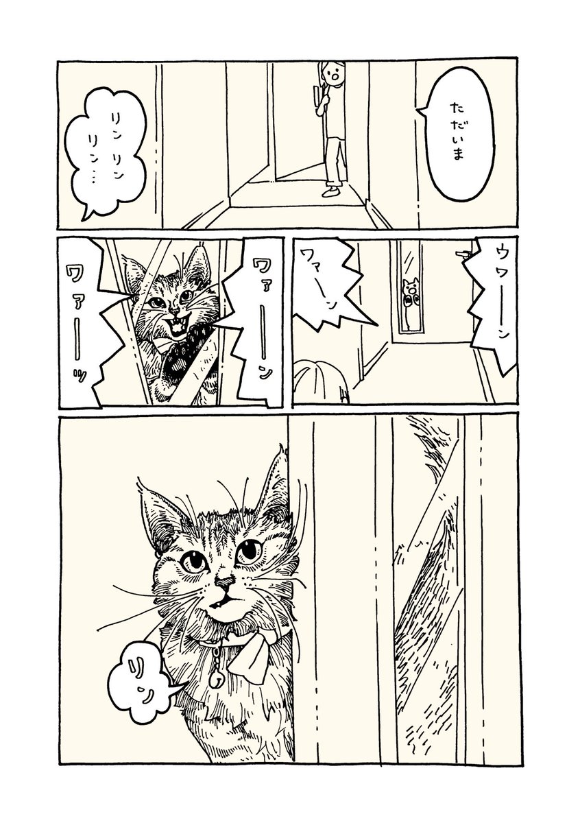 koma7sai's tweet photo. おかえりのこま https://t.co/hg73KqQutU