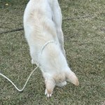Photo by 뜨개발자 (@knit_developer)