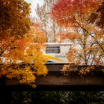 Photo by TransLink BC (@TransLink)