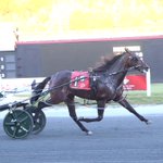 Photo by U.S. Trotting Assn. (@USTrotting)