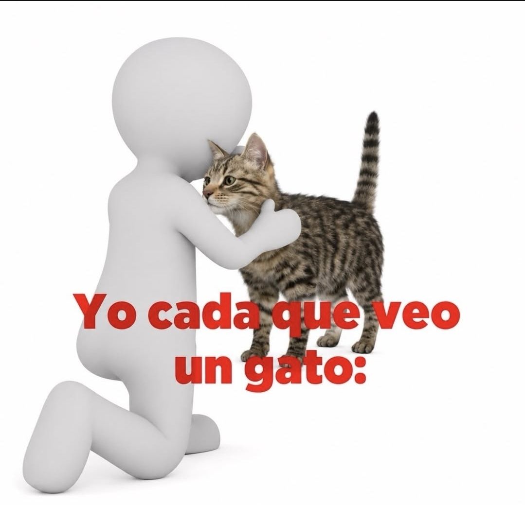 wikipistacho's tweet photo. https://t.co/48SgO3CD8m