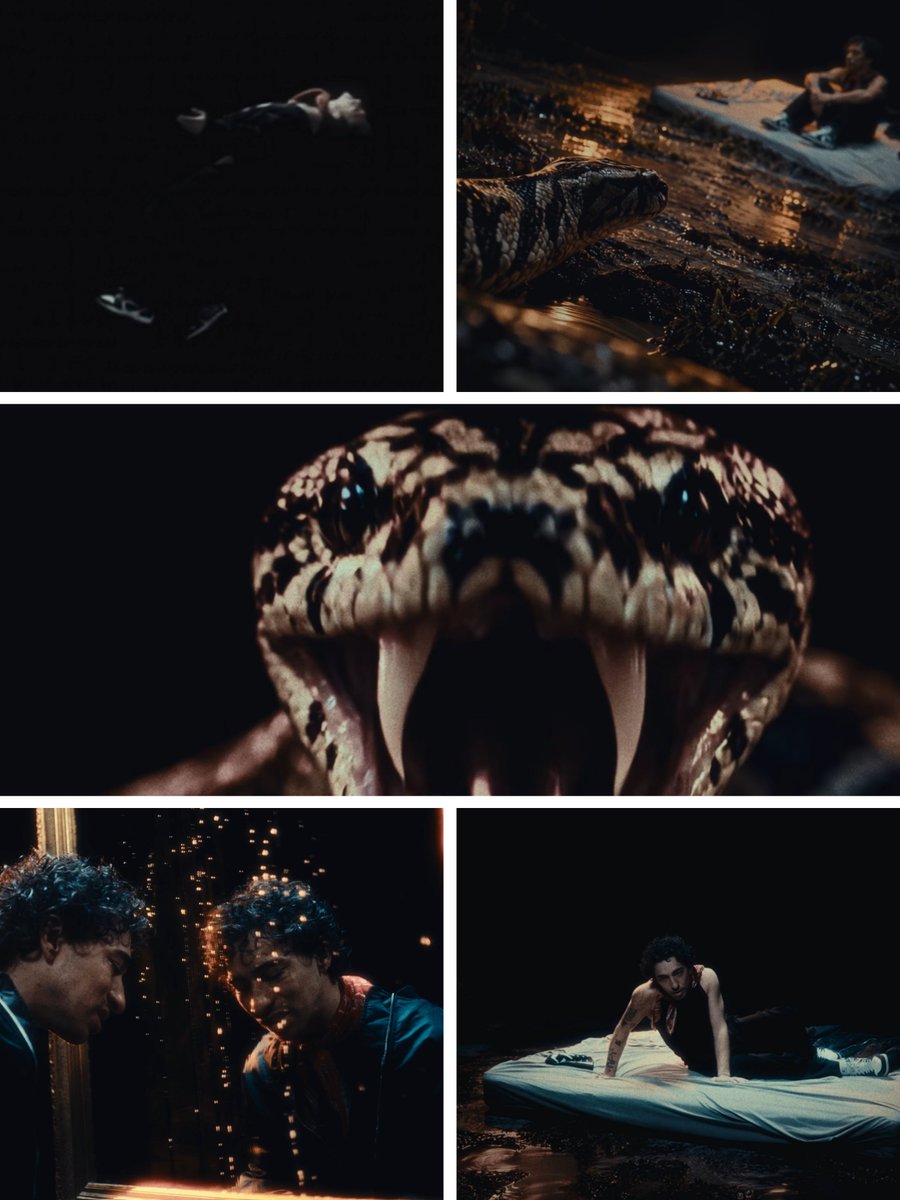 itsasellus's tweet photo. metafor.🪷🐍 https://t.co/86XthJHKJI