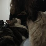 Photo by hermione 🐈‍⬛ ateez 8th bday !! ɞ˚‧｡⋆ (@_starmi_)