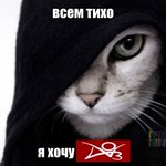 Photo by мультиИнтеграл.・゜゜・ (@BlackIntegral)