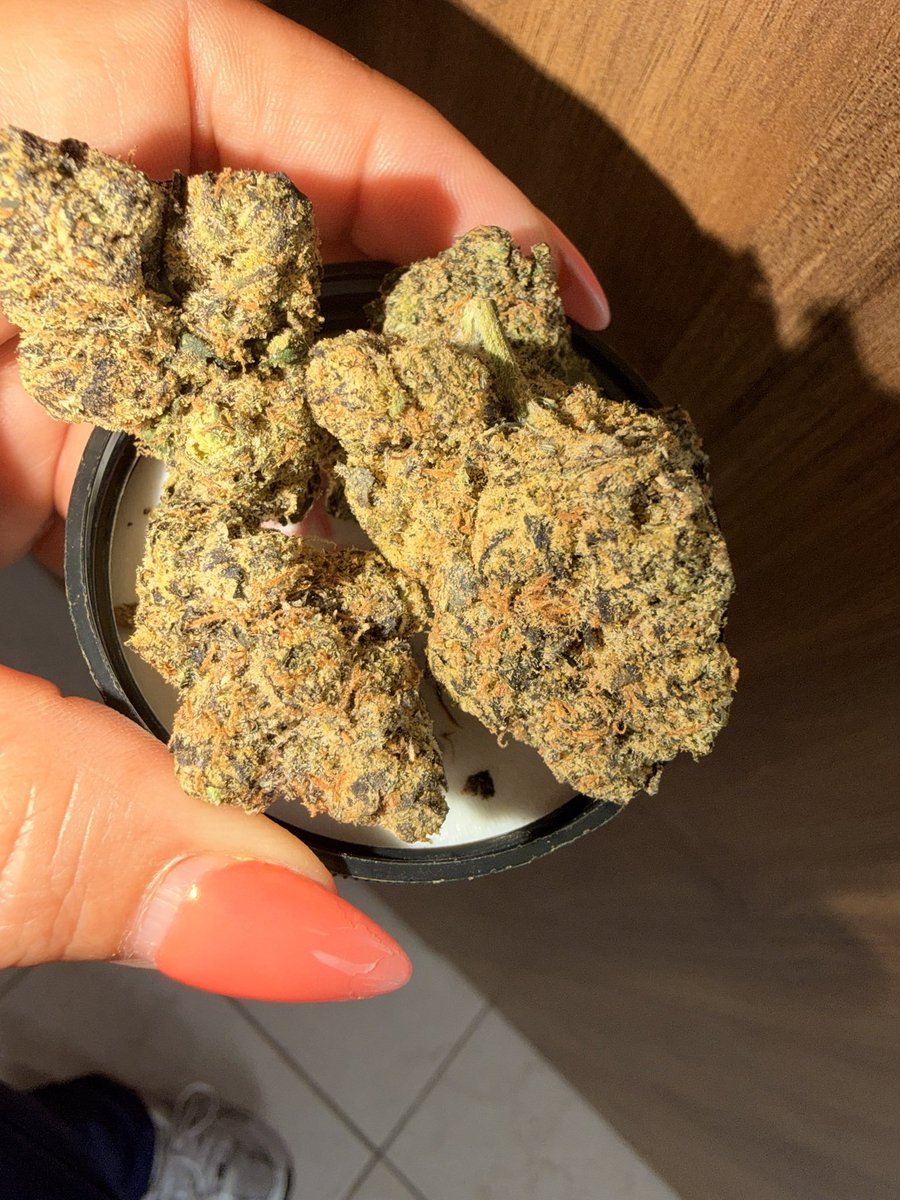 queenZathick's tweet photo. @LilStonerPanda Check in with us, we have the best flowers available and ready to send out. Dm for menu!

https://t.co/2MJpHBTdLt https://t.co/NU1Run2h29
