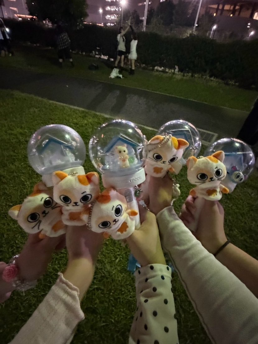 llackyy22's tweet photo. オーラス🎼💞
沢山出会いの詰まった楽園に感謝いっぱい https://t.co/nCvA52dEZA