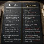 Photo by Islam Daily (@IslamDailyx)