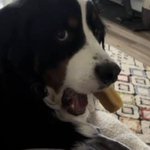 Photo by flexorcist (@loupysteys)