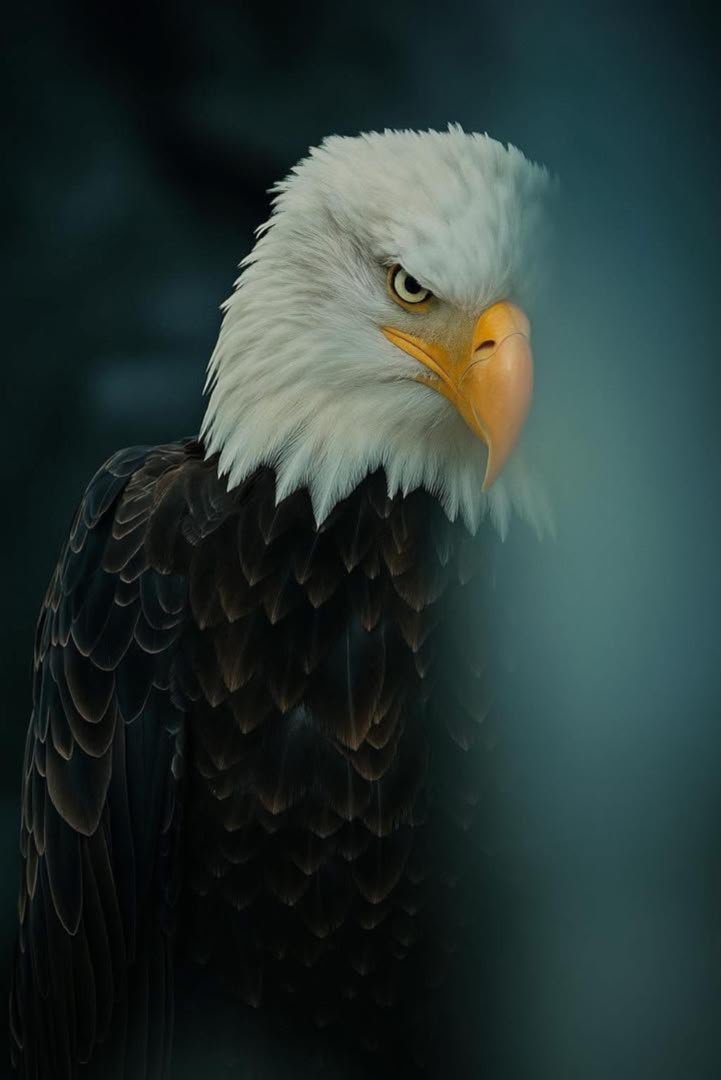 LordTyllin's tweet photo. Power is strongest when competence supports authority. https://t.co/11DTKS2rkN