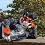 Photo by Tycho / Arush (@wereNwolf)