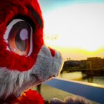 Photo by Aziel (@MLizardAziel)