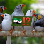 Photo by Sfouk Alsheikh (@SFOUK111)