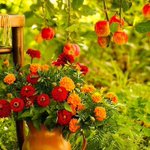 Photo by 🕊️🌹🕊️ (@Maria_369_)