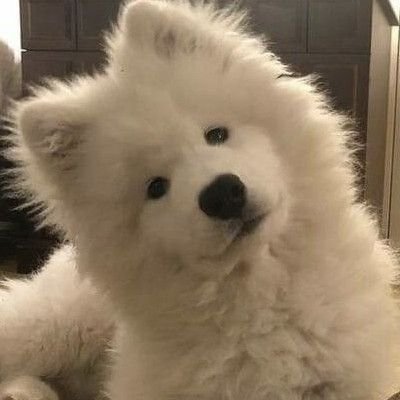 khaslanaism's tweet photo. MY CUTIE https://t.co/jOCPvGq5ZT
