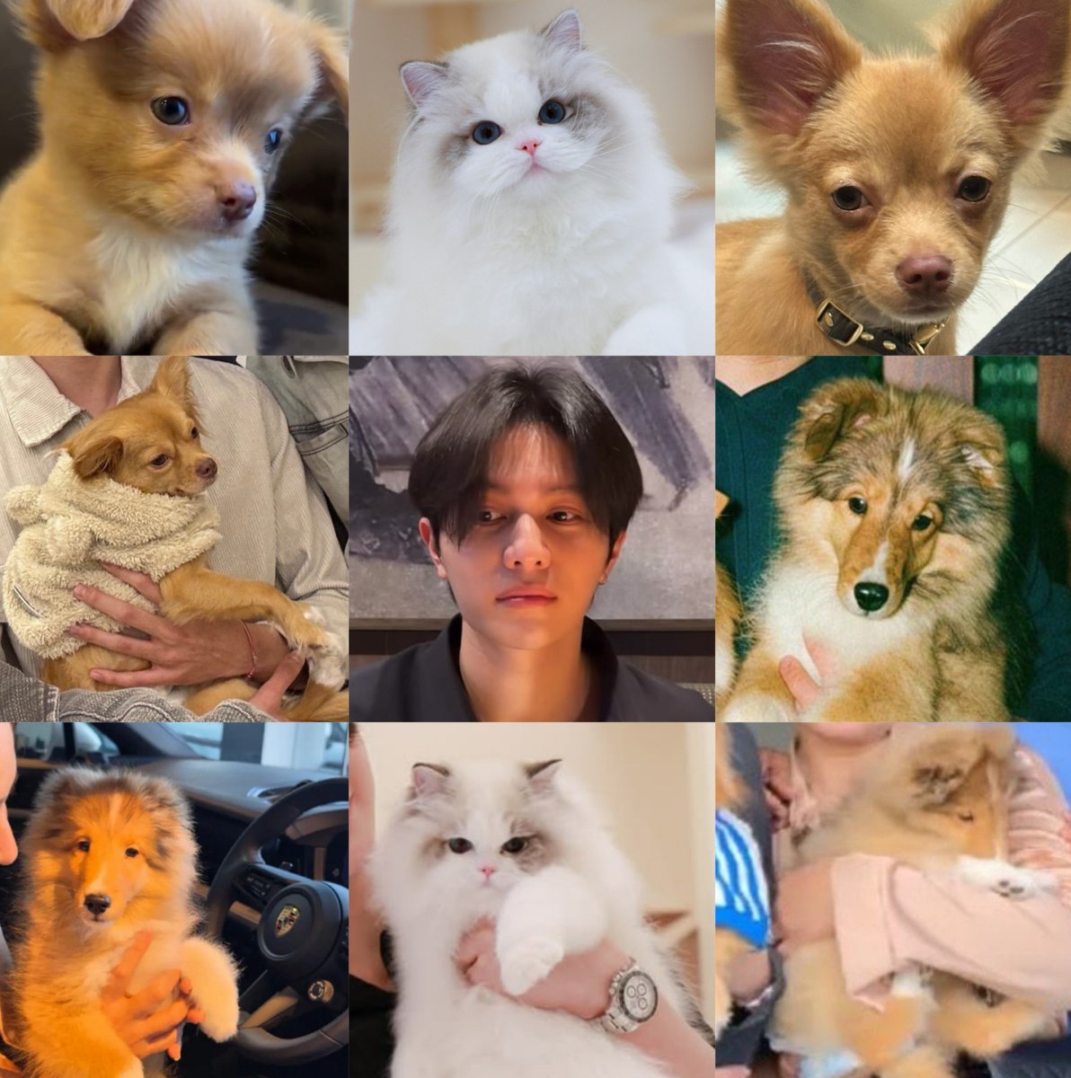 kpmar_'s tweet photo. ทุกตัวที่วิลเลี่ยมเลี้ยงเหมือนตัวเองหมดแต่ทำไมรินะเหมือนเอส https://t.co/xEgsLm4XKd