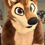 Photo by LilKayden 🔜 LittlesJamboree, ANE27 (@KaydenDaWulf)