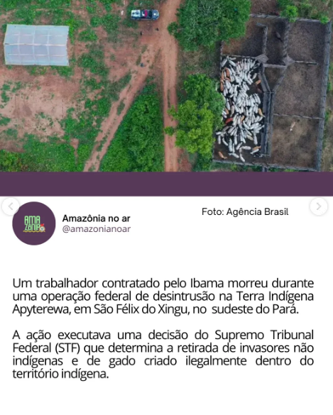 loeycor3's tweet photo. já q o IBAMA ta em alta, qria relembrar essas coisinhas aqui https://t.co/xAz8zHrYrw