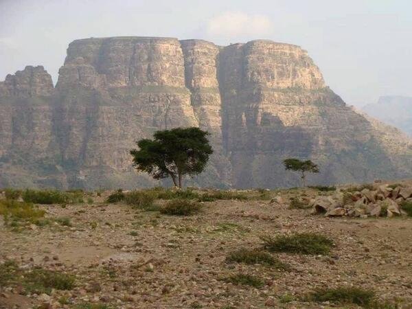 almoham9619023's tweet photo. قلعة #المقاطرة التاريخية التي استعصت على الغزاة والمحتلين ونكل رجالها ورجال الحجرية بجيوش المستعمر العثماني والبريطاني ترفع اليوم شعار لن ترى الدنيا على أرضي وصيا وأبطال القوات المسلحة اليمنية يواصلون ملاحقة تحشيدات العدو السعودي باتجاه طور الباحة ومن عدة مسارات https://t.co/RNb1YkrK7x