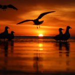 Photo by Picfair (@Picfair)