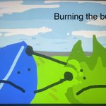 Photo by Daily bfdi (@DailyBfdi)