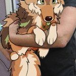 Photo by Bishop 🌲🍩🐞 (@pineyyote)