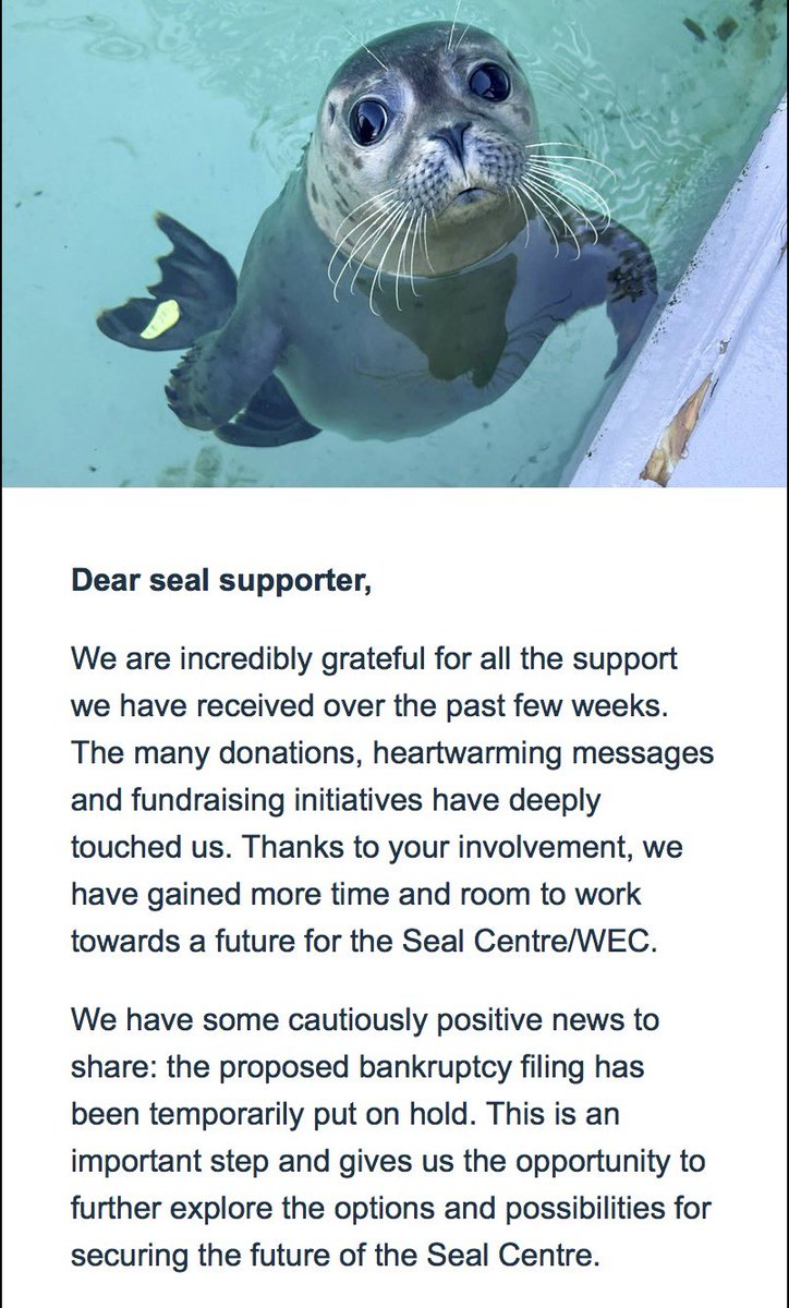theWAGproject's tweet photo. some good news about @Zeehondencreche 🦭🦭 but the fight is not over yet! please continue to support this amazing seal rescue ❤️ https://t.co/SuApAqy8vN