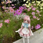 Photo by 趣味助🌸 (@543Lui)