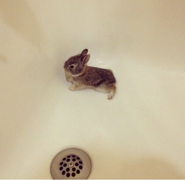 daturapercocet's tweet photo. helo i am stuck in tge bathfub helpe!!1 https://t.co/RFipFafUBK