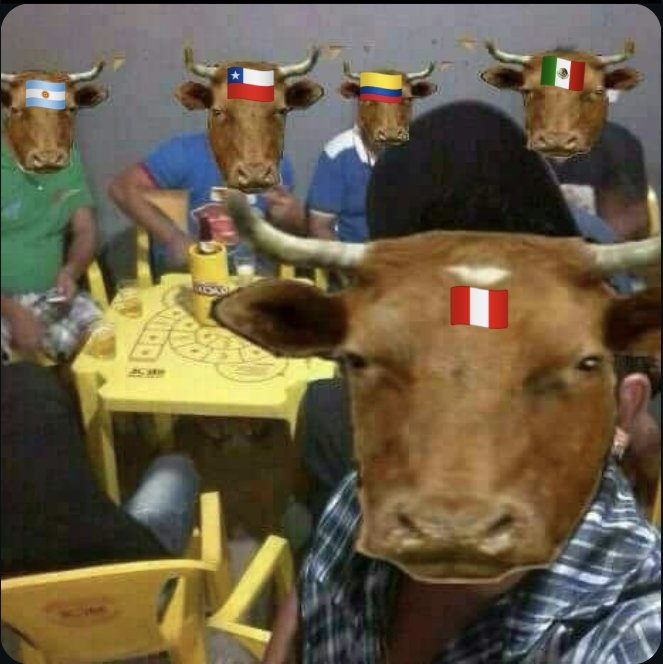 jkootete's tweet photo. Chicos sonrían para la foto, bts le dijo "que son diferentes a brasil" https://t.co/lHD3TxVVWQ