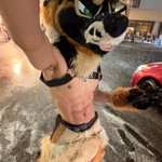 Photo by Radar (@RadarShep)