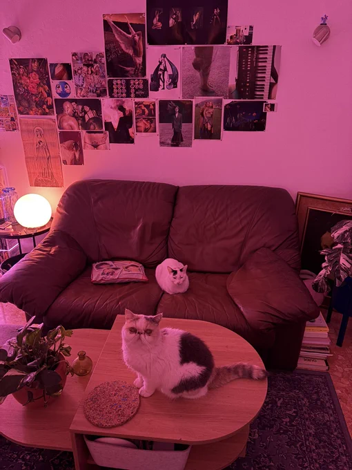 Image from internet girlfriend (@pauvreheloise)