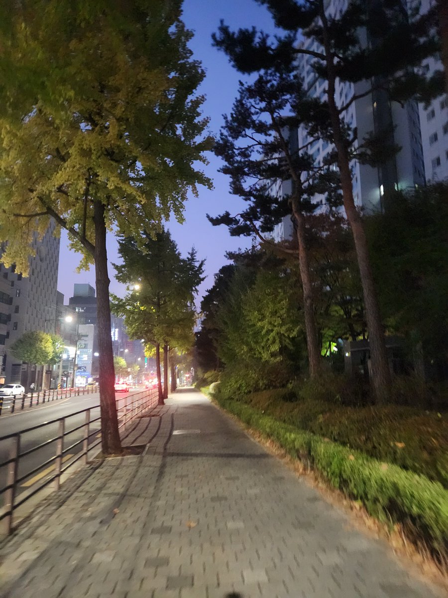 doryntory's tweet photo. 20261031 오운완! https://t.co/sYC8aqWeE7