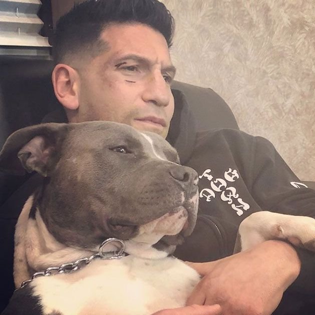 slut4castle's tweet photo. look at all these puppies including the big one https://t.co/XEedRZrJeL