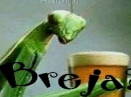 skr_hate's tweet photo. @brautlyng Seja o louva-breja https://t.co/dnfXwolA4Z