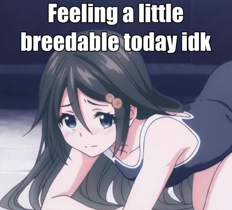 ririkunx's tweet photo. https://t.co/WT0dm0ScWv