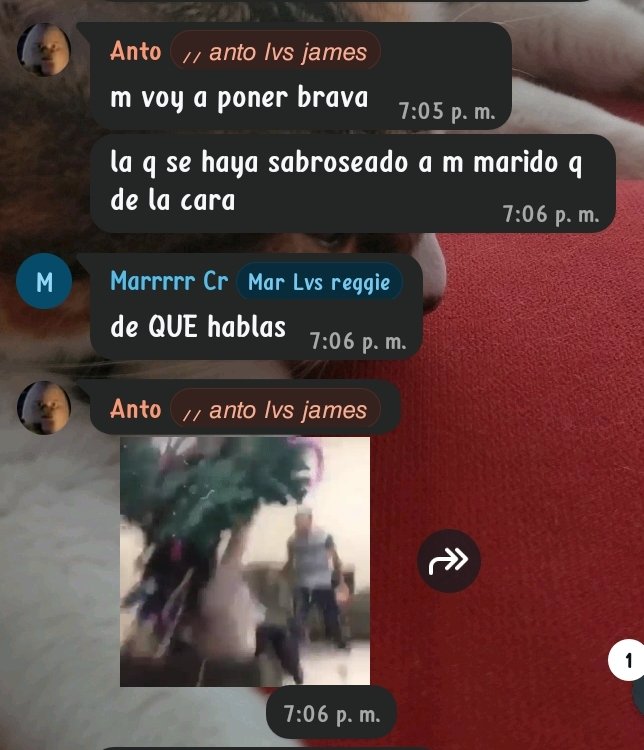 txemtias's tweet photo. Solo paso a decir que la profecía se cumplió https://t.co/0UQRqzfzAC