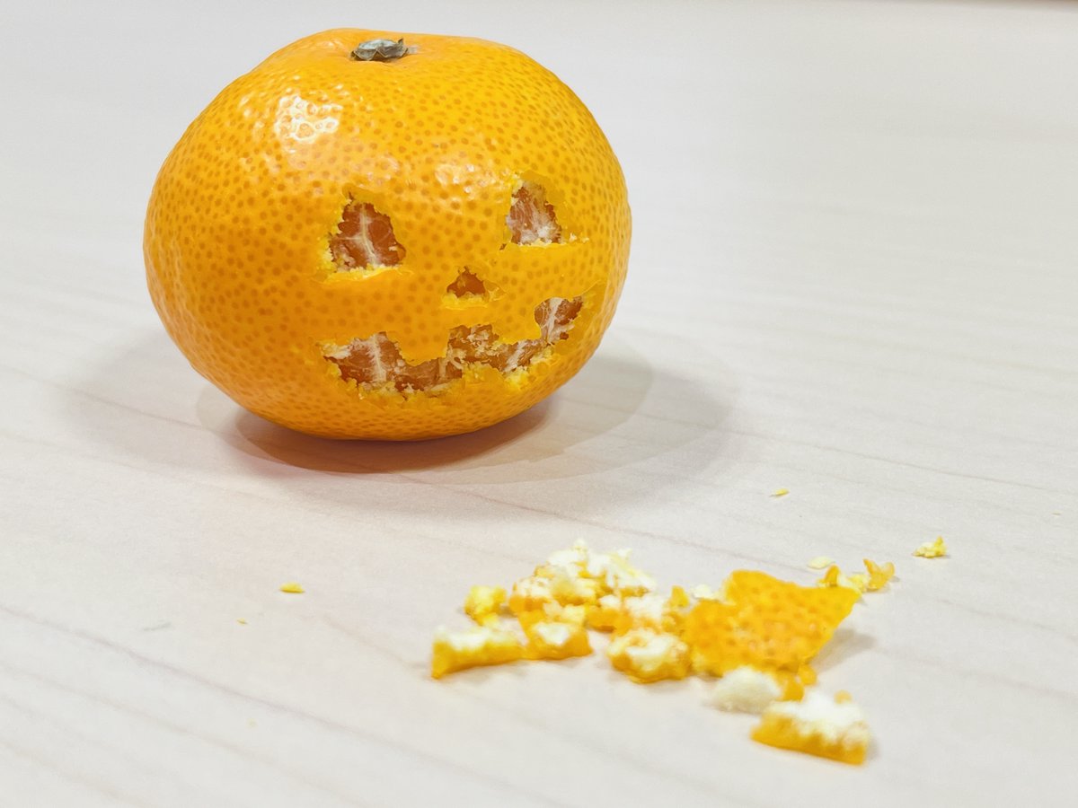 nomakajuen's tweet photo. 特にカボチャはなくても大丈夫です🍊 https://t.co/IfOoyL3dIB