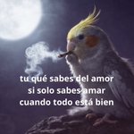 Photo by Mini Dramática (@minidramatica)